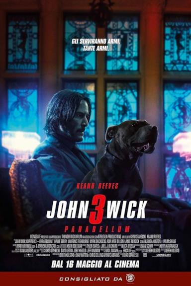 Poster John Wick 3 - Parabellum