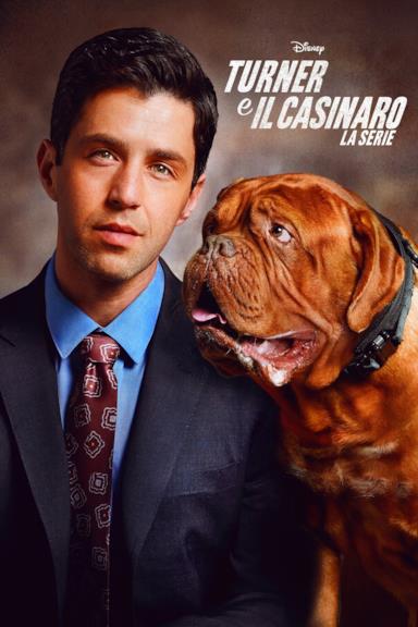 Poster Turner e il casinaro - La serie