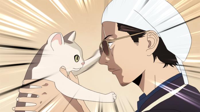 Tatsu e Gin Tatsu osserva il gatto Gin
