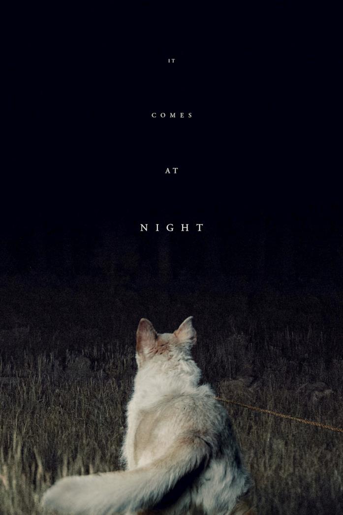 It Comes at Night Il poster di It Comes at Night