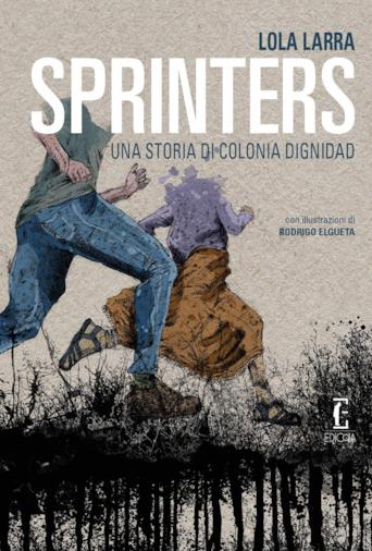 Il romanzo di Lola Larra