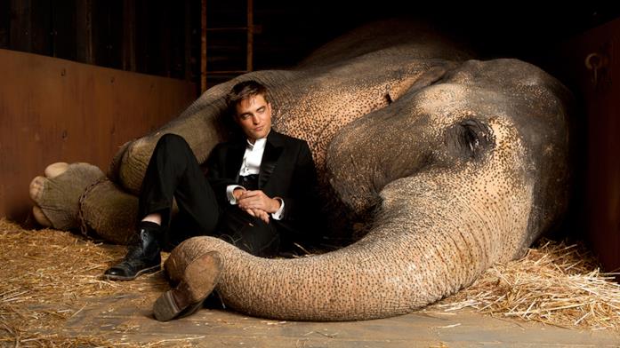 Come l'acqua per gli elefanti Una scena di Come l'acqua per gli elefanti con Pattinson e l'elefante