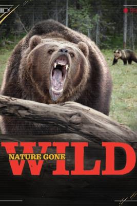 Poster Into The Wild - Natura Pericolosa