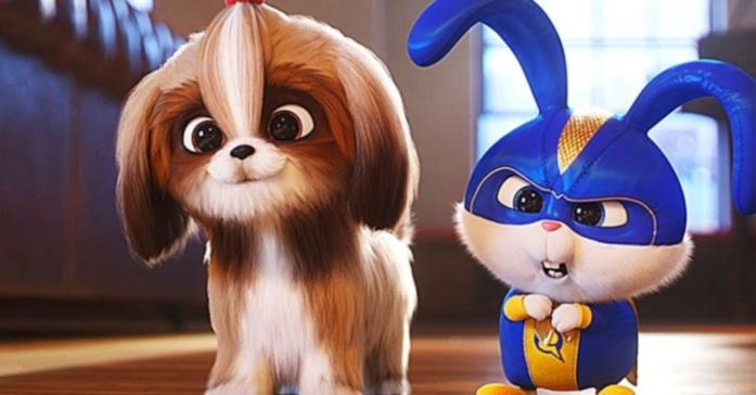 Esemplare di Shih Tzu, Marghi Marghi