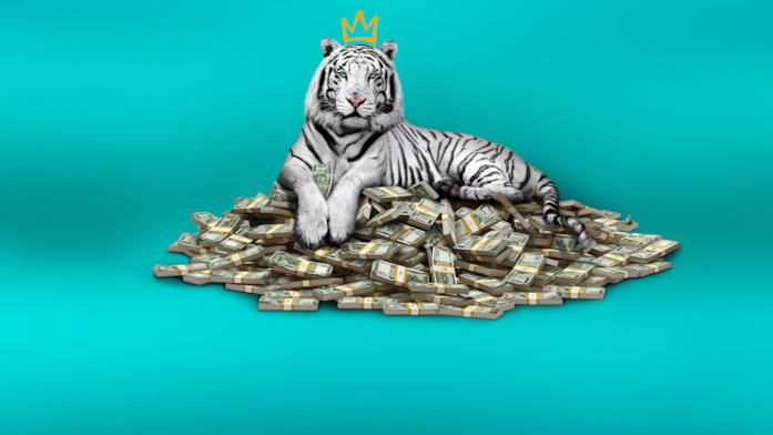 Poster La tigre bianca La tigre bianca poster