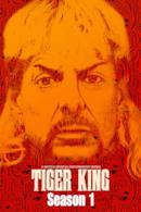 Stagione 1