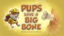Anteprima I cuccioli salvano un osso enorme