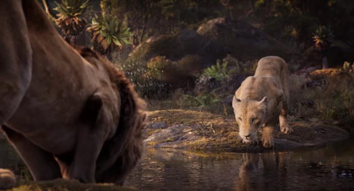 Il Re Leone Simba e Nala in una scena de Il Re Leone