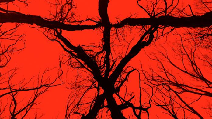 Al San Diego Comic-Con presentato Blair Witch, sequel del film