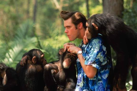 Ace ventura 3, Evan Peters sarà il figlio dell'acchiappa-animali?