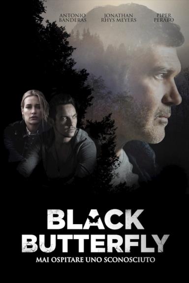 Poster Black Butterfly