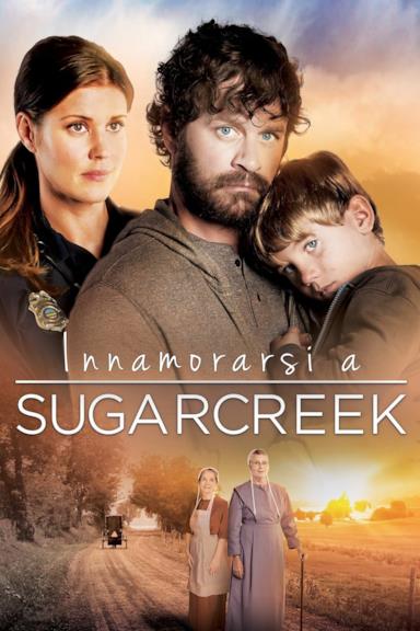 Poster Innamorarsi a Sugarcreek