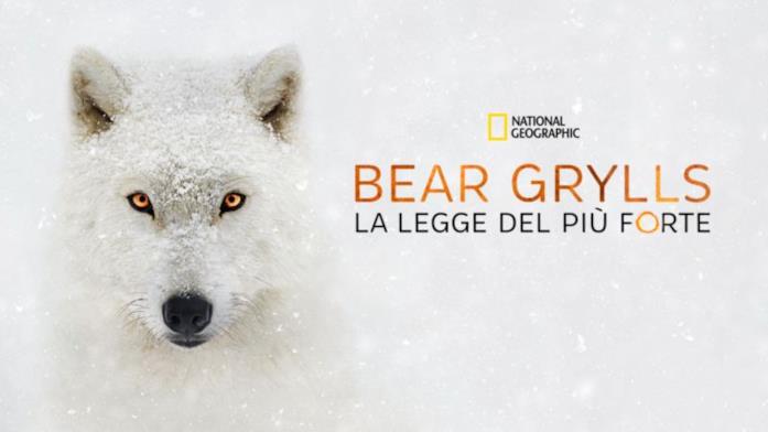 Bear Grylls la legge del più forte Bear Grylls la legge del più forte