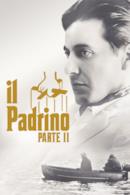 Poster Il padrino - Parte II