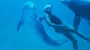 Anteprima L'uomo e il mare
