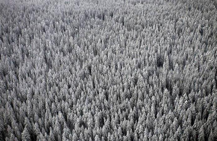 Game 2: Winter Game 2: Winter, la foresta ghiacciata della Siberia