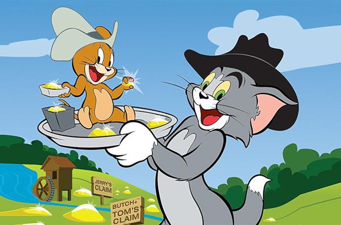 Tom E Jerry Chi è Il Gatto