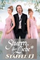 Stagione 13