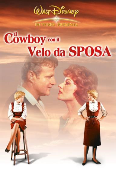 Poster Il cowboy con il velo da sposa