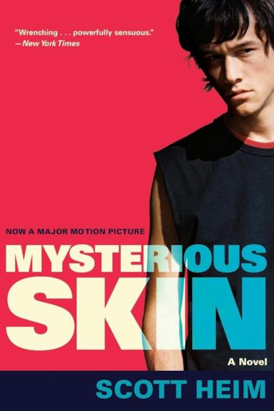 Poster Mysterious Skin