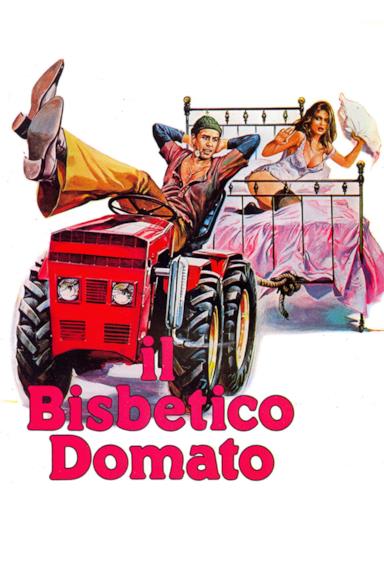 Poster Il bisbetico domato