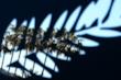 Una fila di palme viste attaverso una lastra intagliata con il logo di Cannes