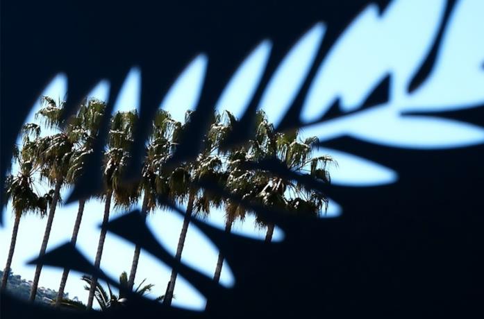 Una fila di palme viste attaverso una lastra intagliata con il logo di Cannes