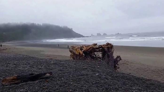 La Push Spiaggia di La Push