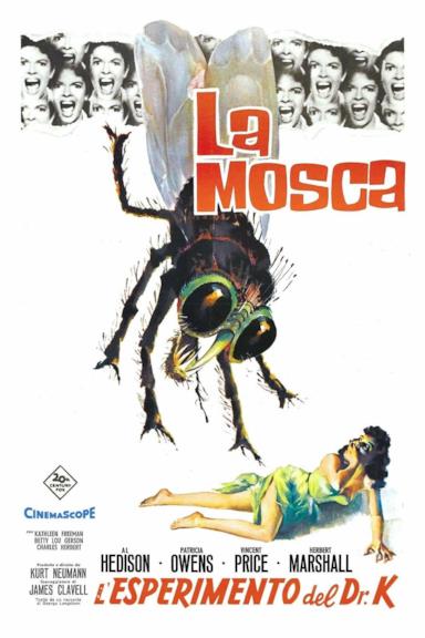 Poster L'esperimento del dottor K.
