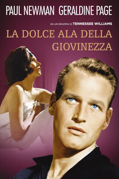 Poster La dolce ala della giovinezza