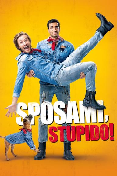 Poster Sposami, stupido!