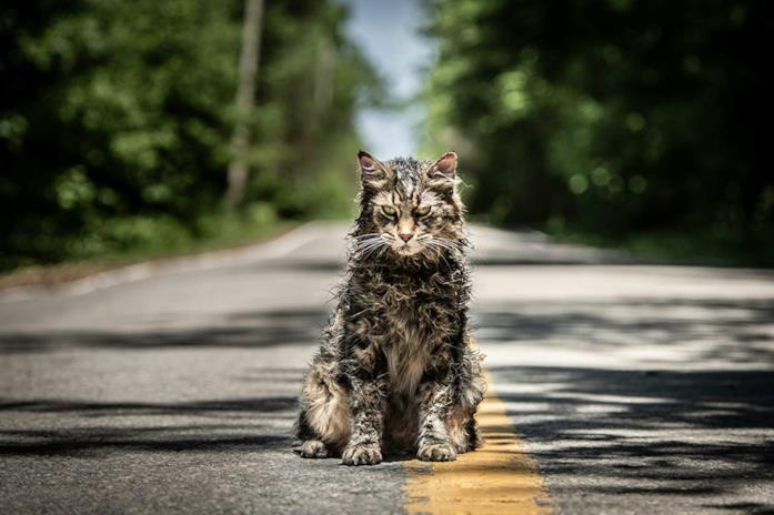 Il gatto di Pet Sematary