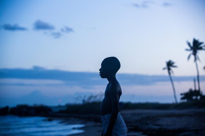 Moonlight: la spiegazione e il significato del film Alex Hibbert in una scena del film Moonlight