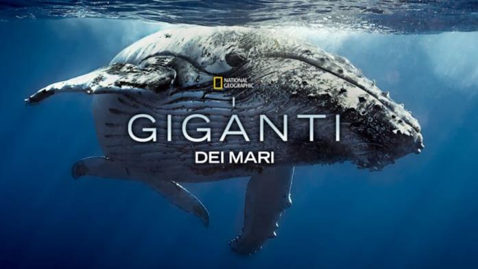 I giganti dei mari I giganti dei mari