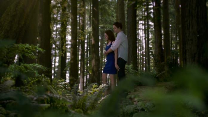 Foresta Twilight Foresta Twilight in una scena con Bella ed Edward