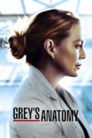 Poster Grey's Anatomy