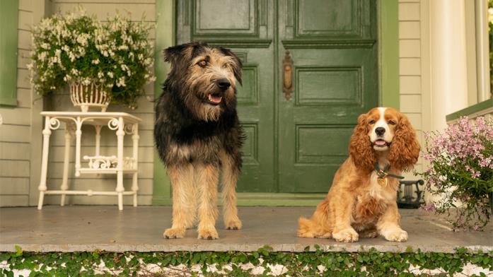 Lilli e il Vagabondo Un'immagine del remake di Lilli e il Vagabondo