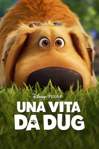 Poster Una vita da Dug
