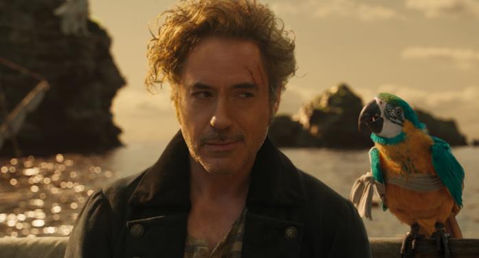 Robert Downey Jr.