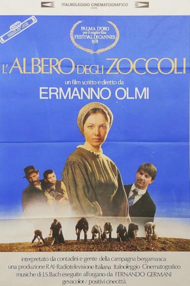 Poster L'albero degli zoccoli