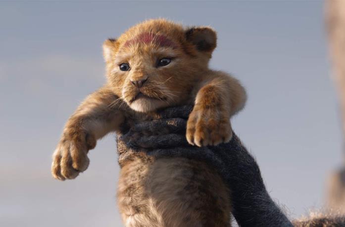 Il Re Leone