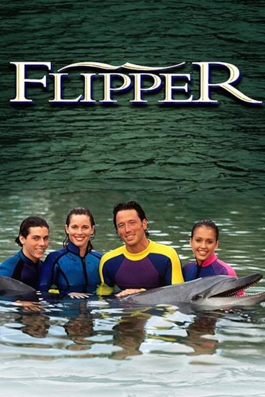 Poster Le nuove avventure di Flipper