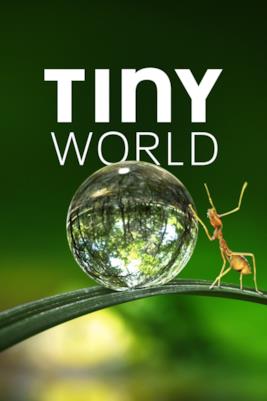 Poster Tiny World