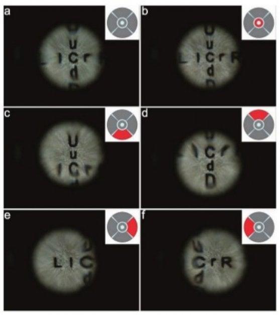 La lente biometrica all'opera Alcune immagini mostrano il funzionamento della lente biometrica