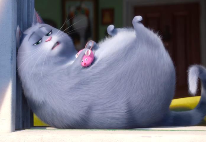 Chloe è la gatta soriana di Pets - Vita da animali Chloe