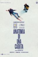 Poster Anatomia di una caduta