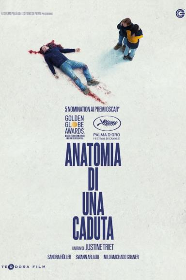 Poster Anatomia di una caduta
