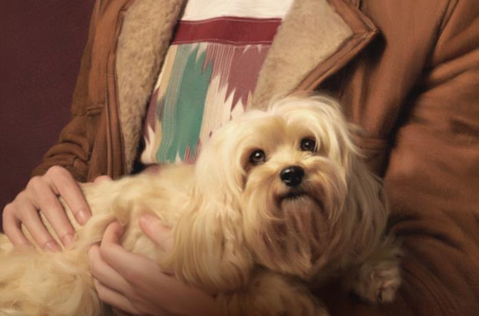 Il cane Madam di Sex Education