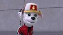 Anteprima Big Truck Pups: I cuccioli fermano l'acqua
