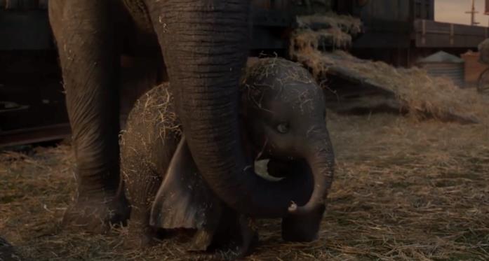 Dumbo Dumbo e la madre